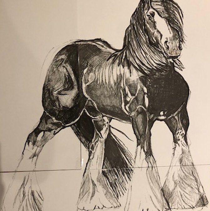 Horse drawings