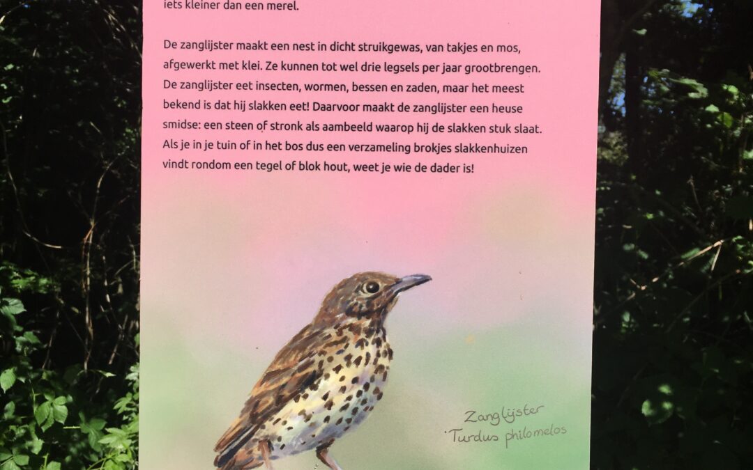 Song thrush information sign